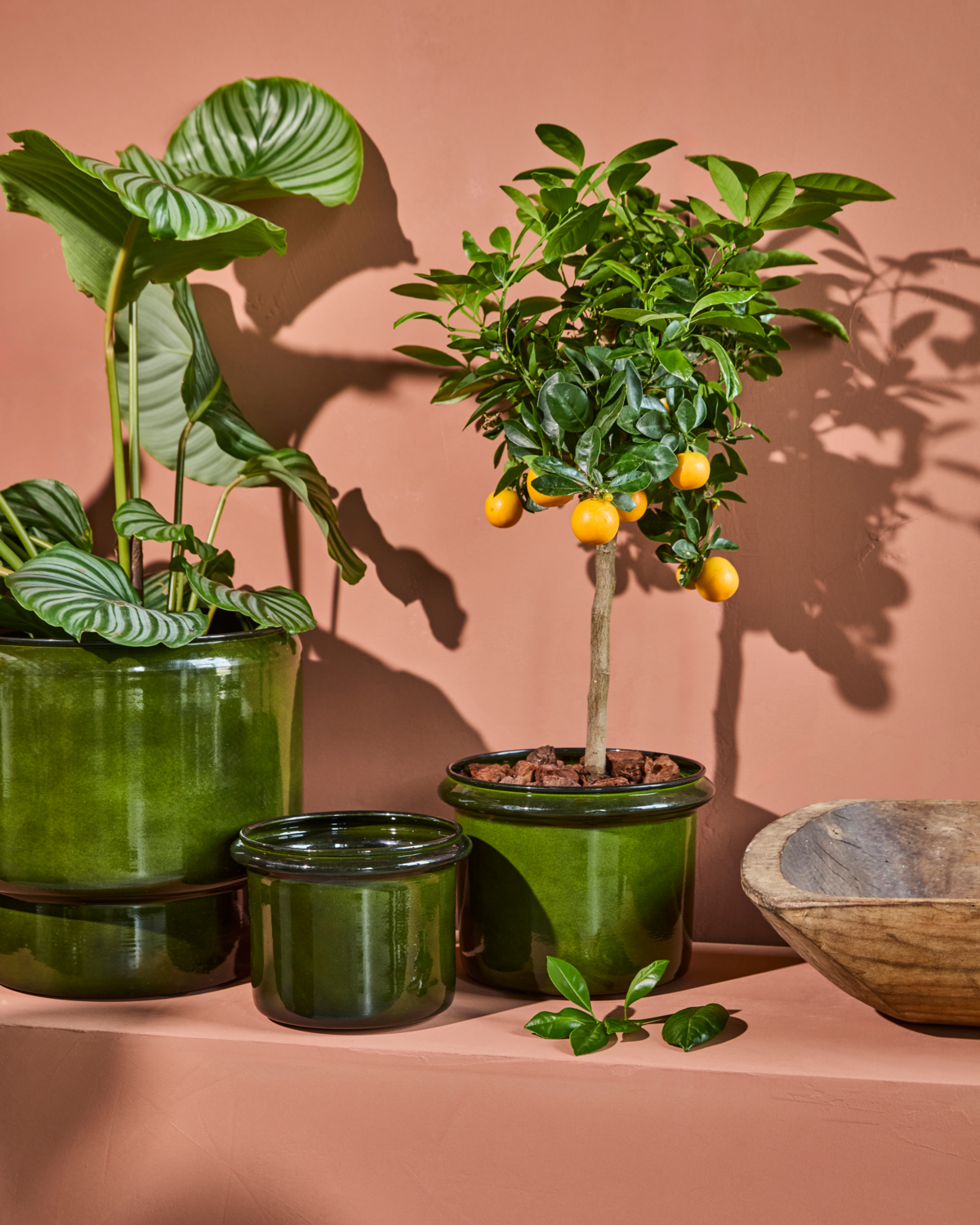 Plant pot, HDHoop, Green