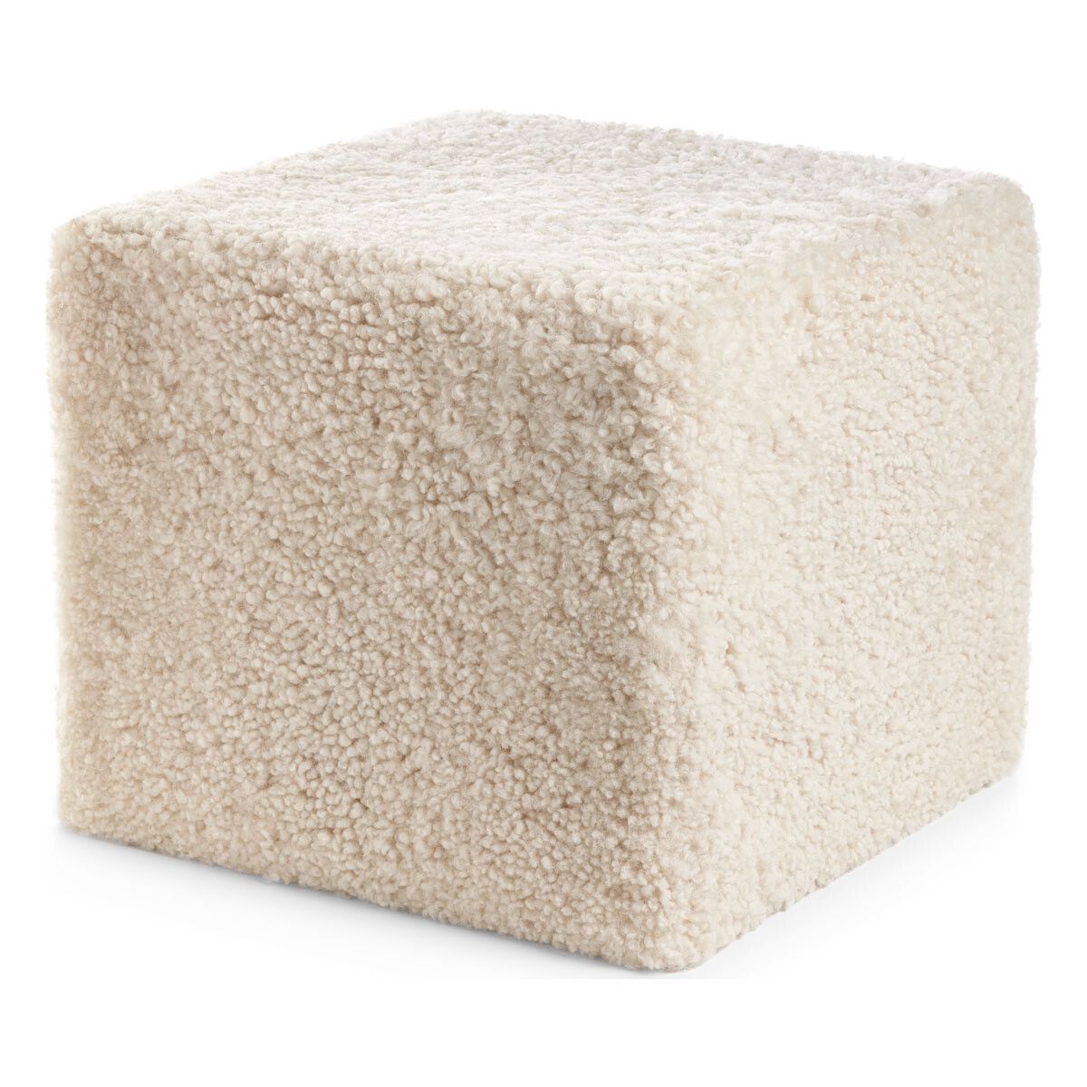 Poof | Short-haired | New Zealand