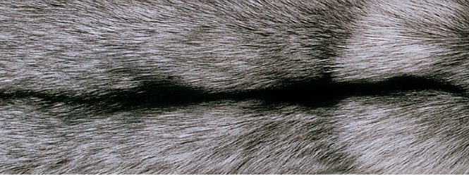 Blanket of fox | Back side of Kashmire | 70x230 cm