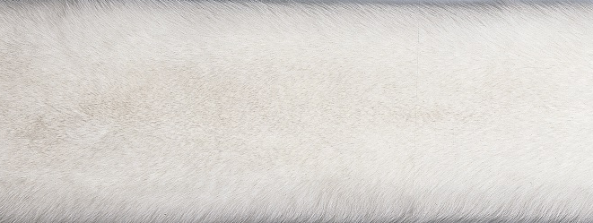 Blanket of fox | Back side of Kashmire | 70x230 cm
