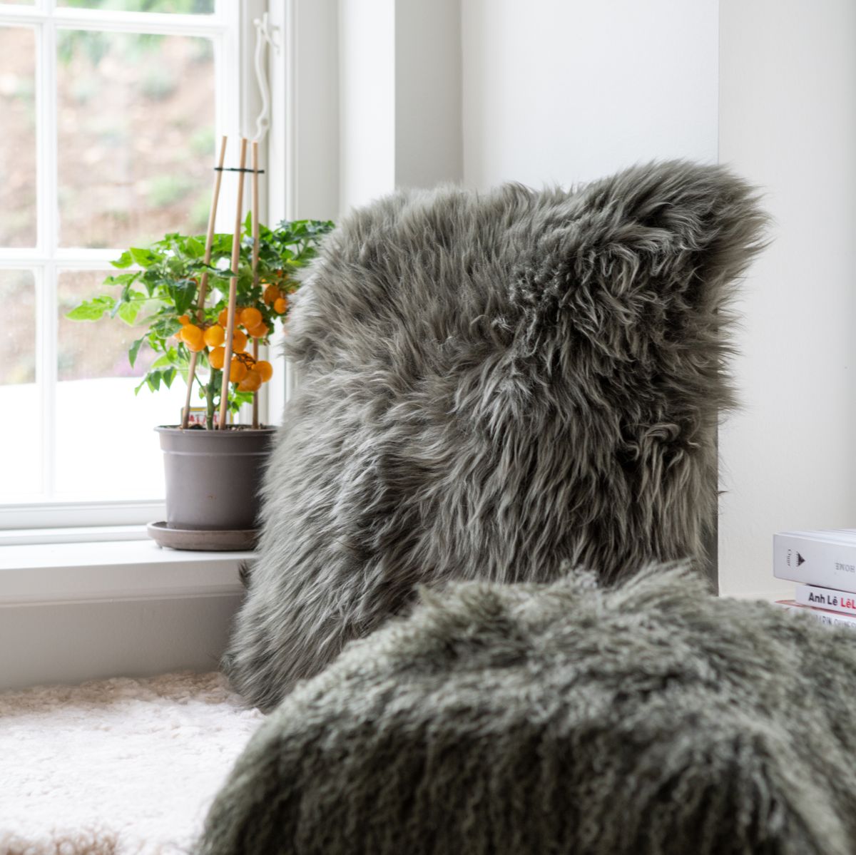 Lambskin pillow | Long-haired | New Zealand | 50x50 cm