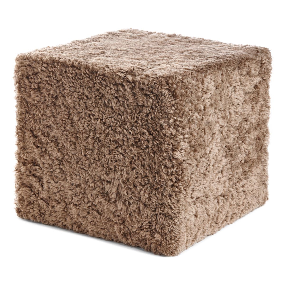 Poof | Short-haired | New Zealand