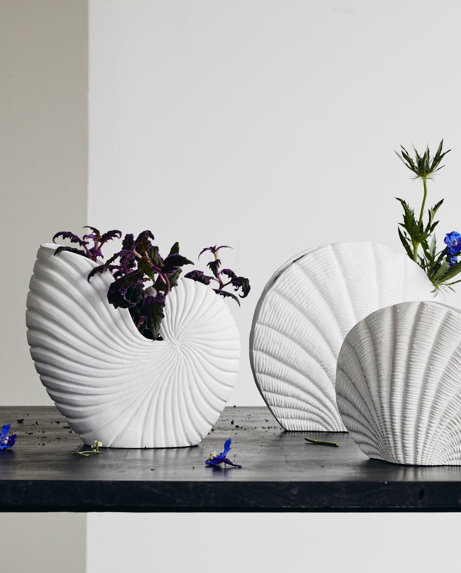 Rakitu flower vase - conch - h25 cm - white