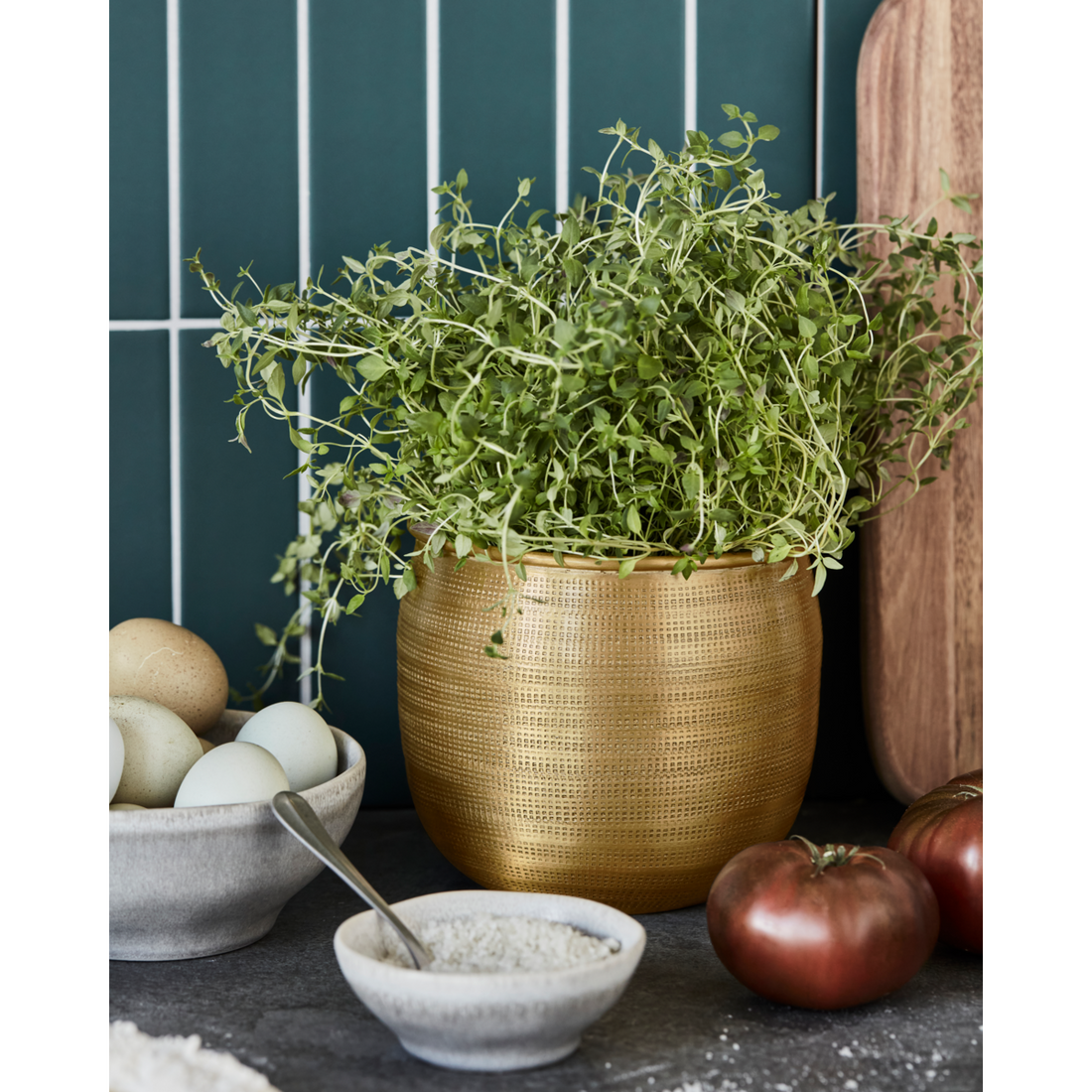 Herbal pot, hdspot, golden