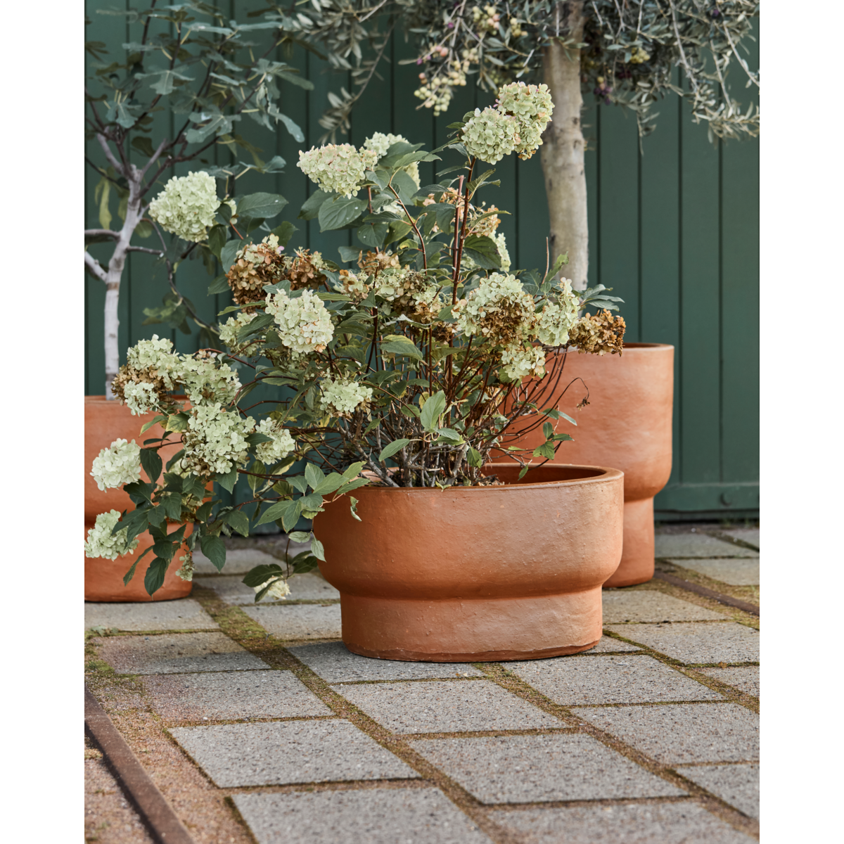 Herbal pot, hdterra, antique brown