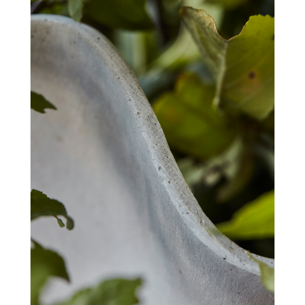 Herbal pot, hdvaso, gray