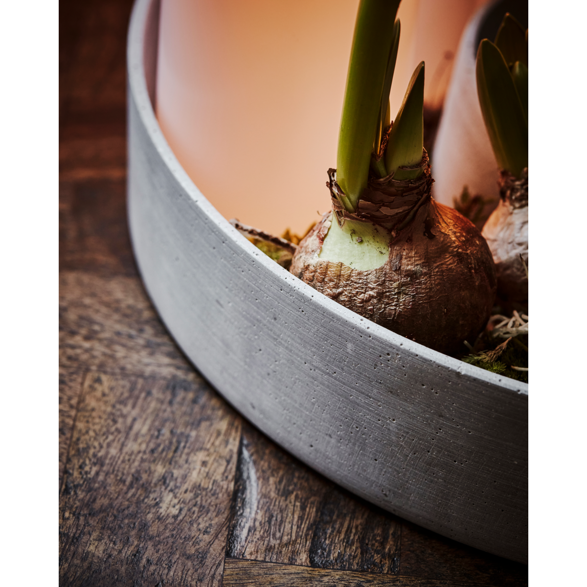 Candlestick, HDTHE Ring, Gray