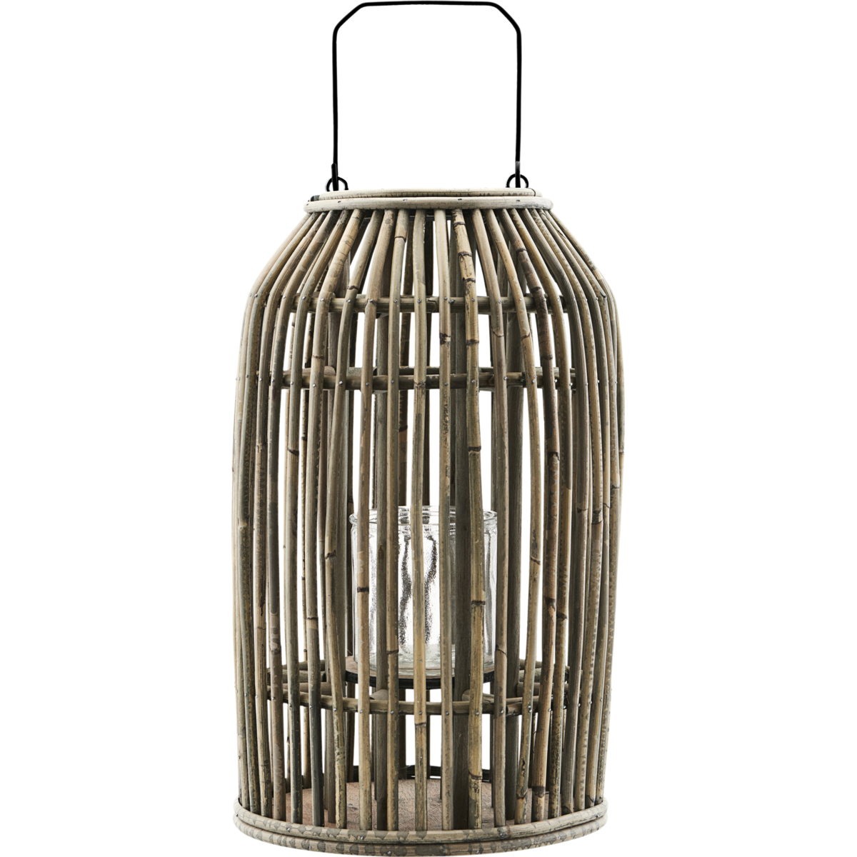 Lantern, Hdova, Nature