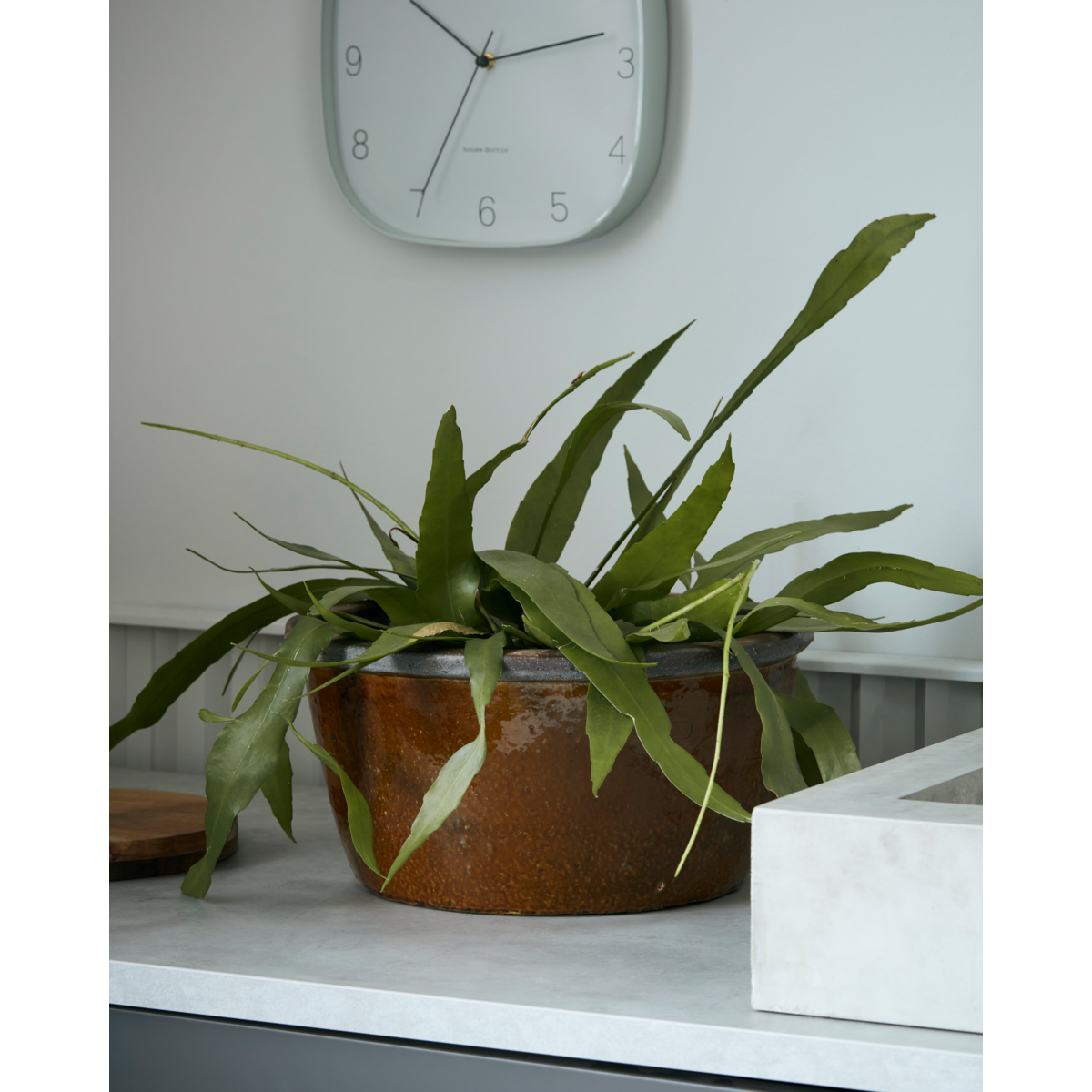 Herbal pot, Hdwhai, mustard yellow