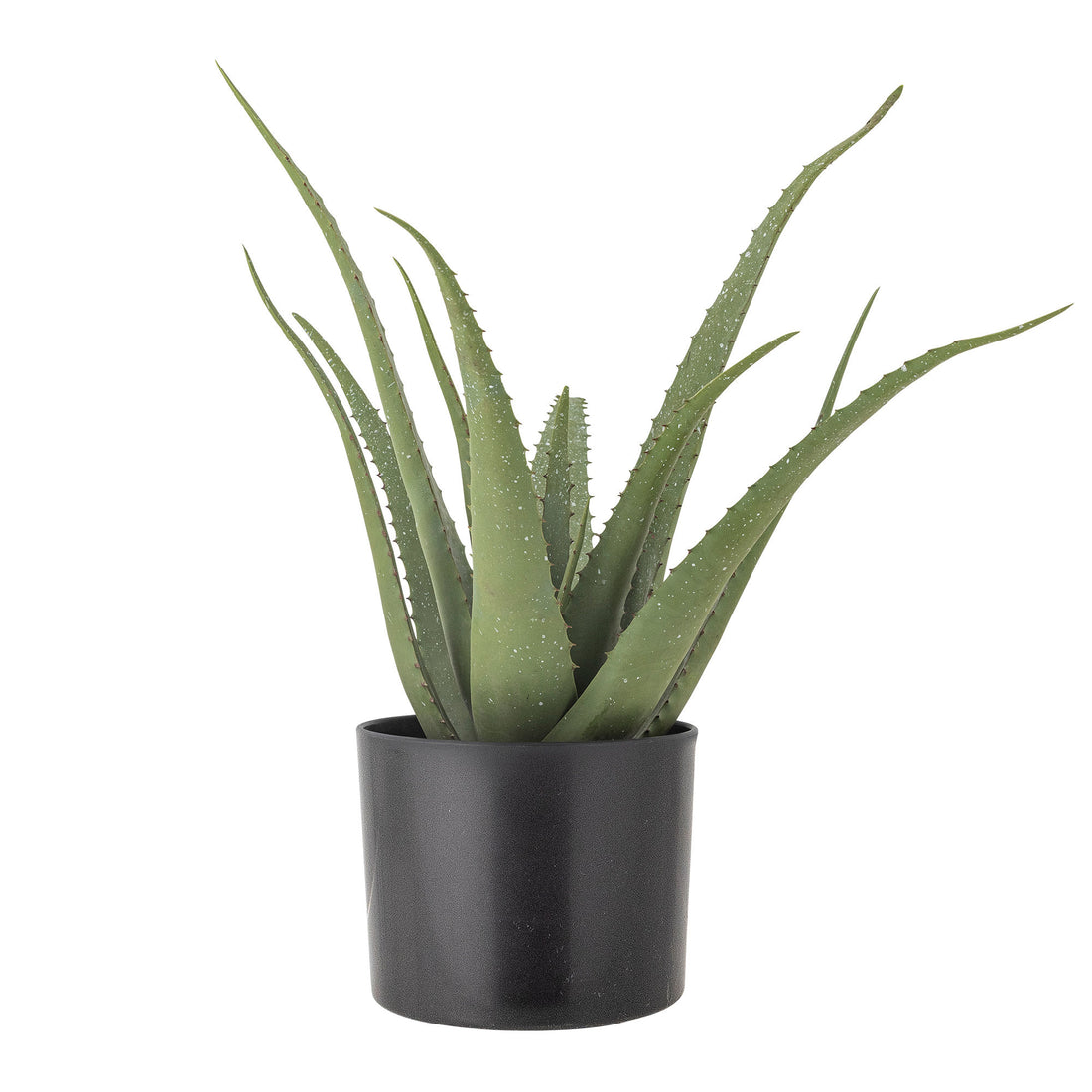 Bloomingville Aloe Plant, Green, Artificial Flowers