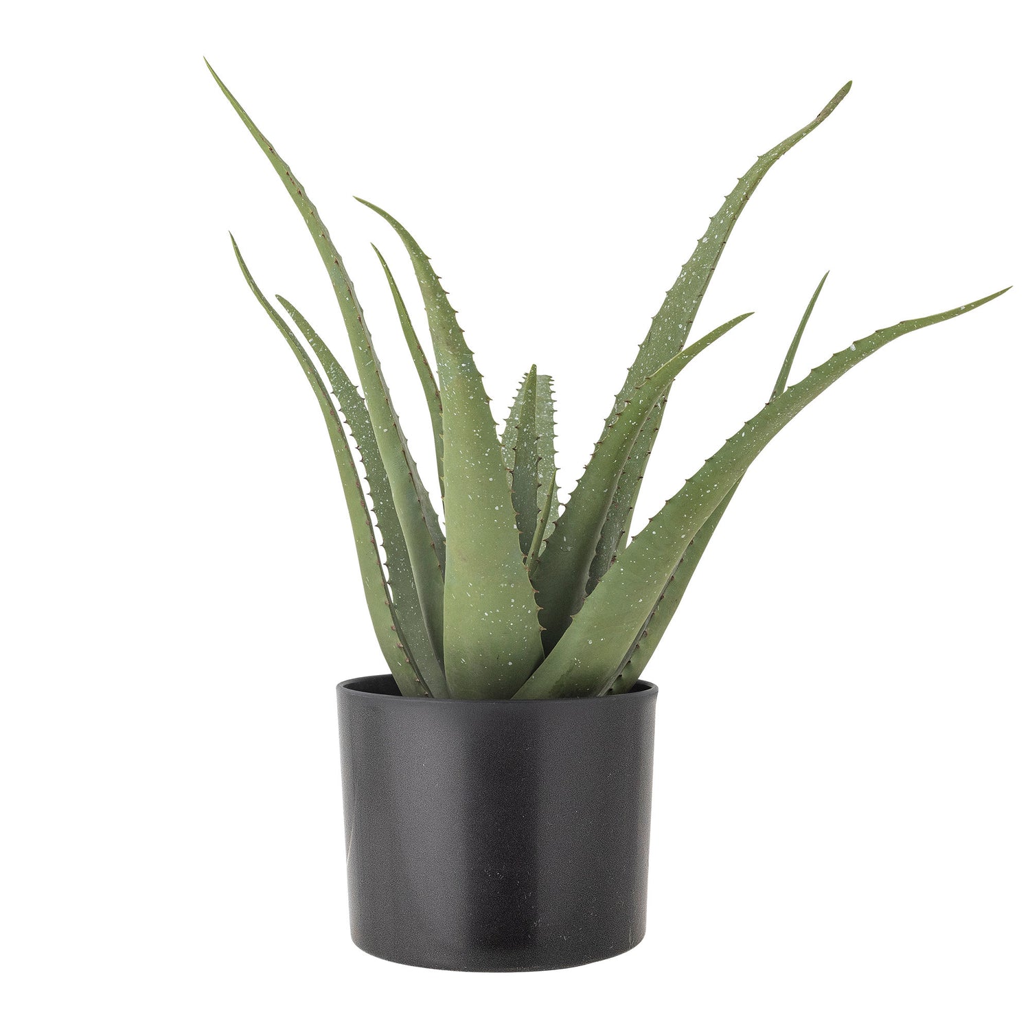 Bloomingville Aloe Plant, Green, Artificial Flowers
