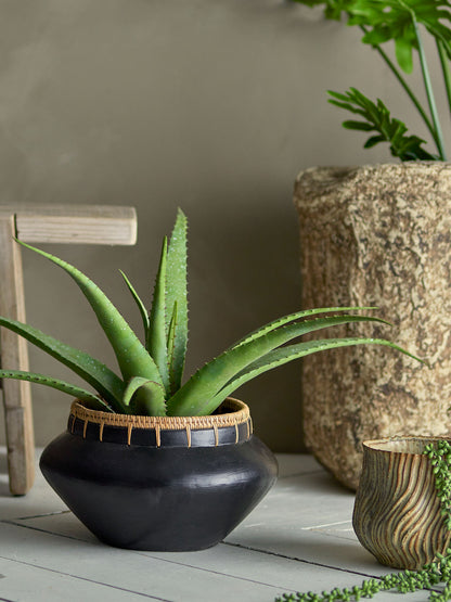 Bloomingville Aloe Plant, Green, Artificial Flowers
