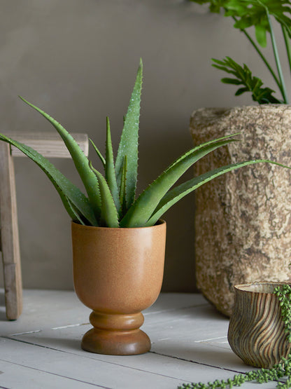Bloomingville Aloe Plant, Green, Artificial Flowers