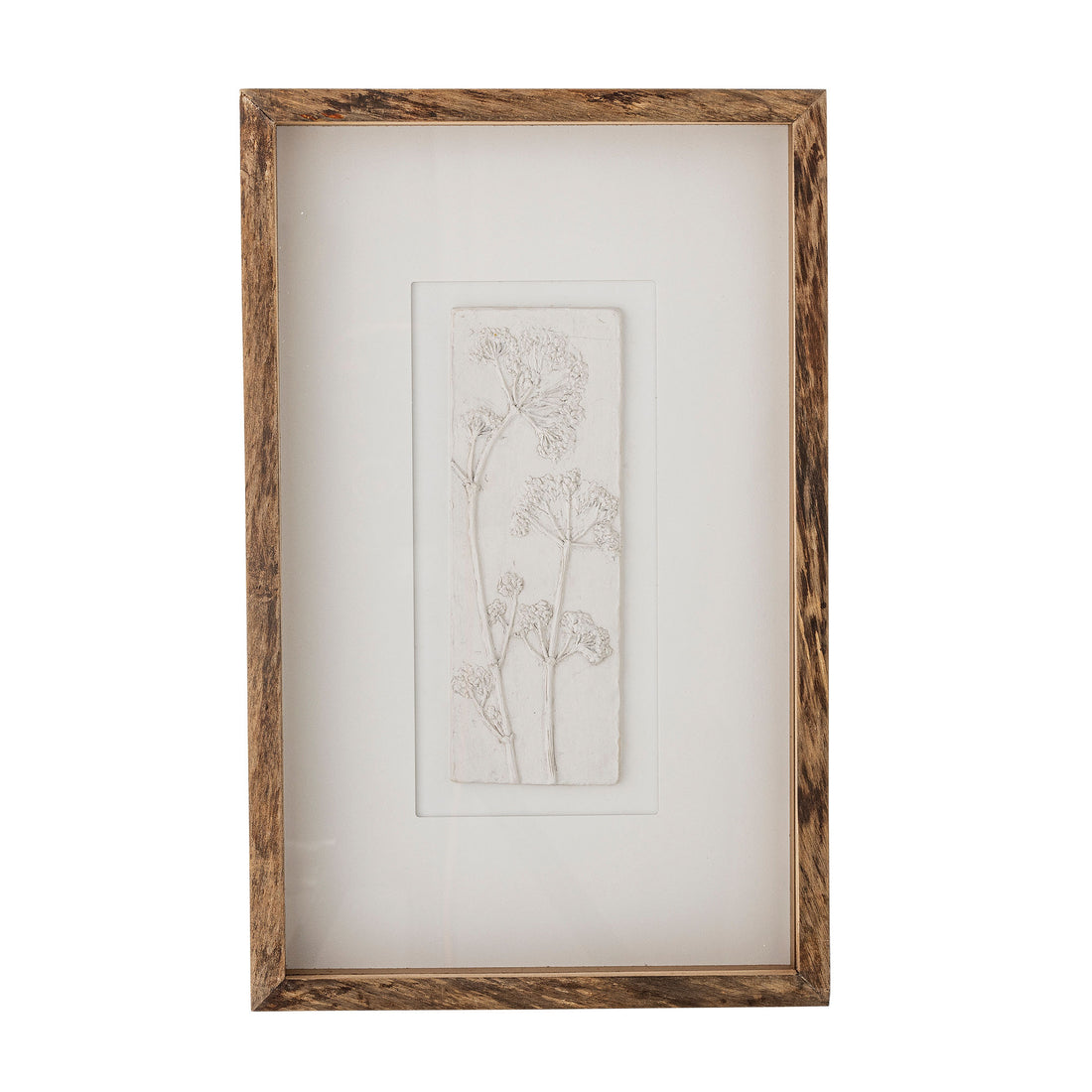 Creative Collection Mey Illustration with Frame, Nature, Pine