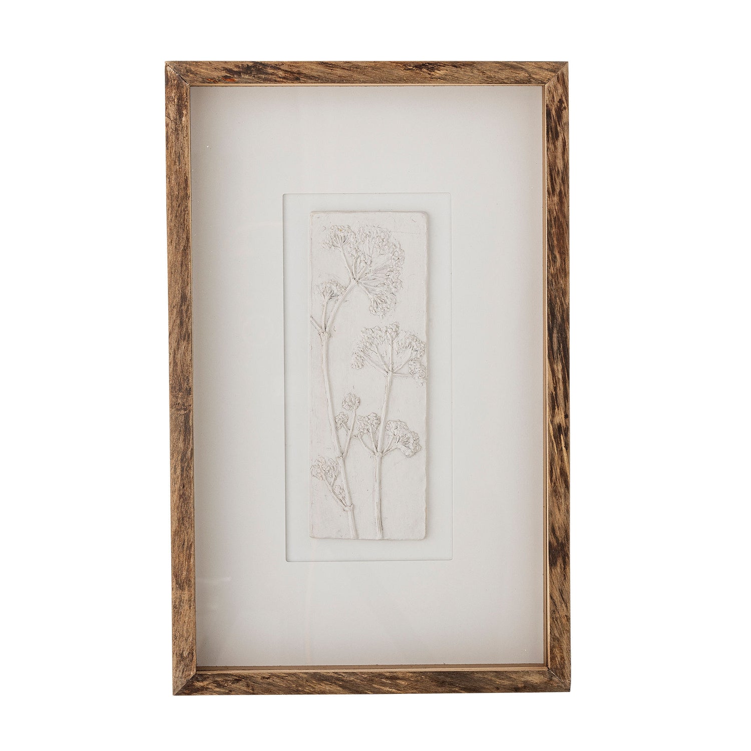 Creative Collection Mey Illustration with Frame, Nature, Pine