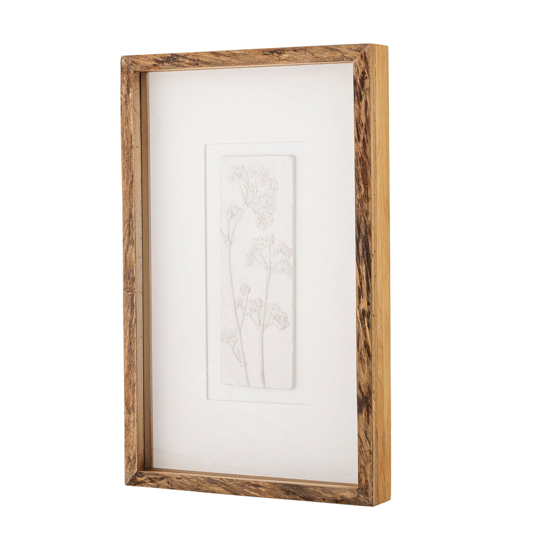 Creative Collection Mey Illustration with Frame, Nature, Pine