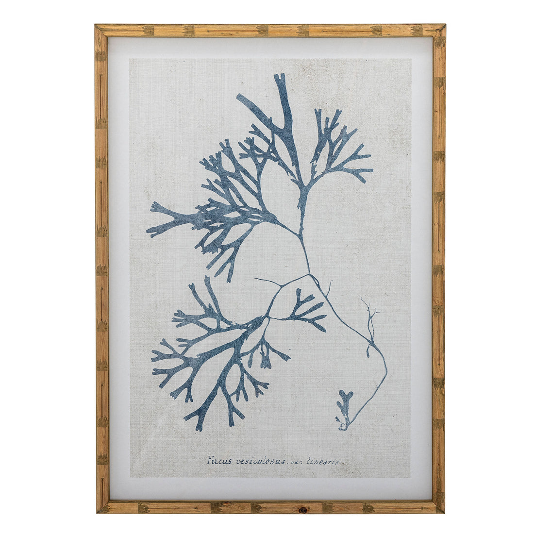 Creative Collection Sumner Illustration with Frame, Nature, Pine