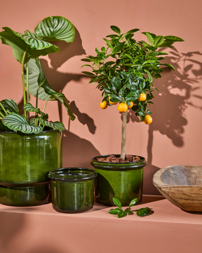 Plant pot, HDHoop, Green