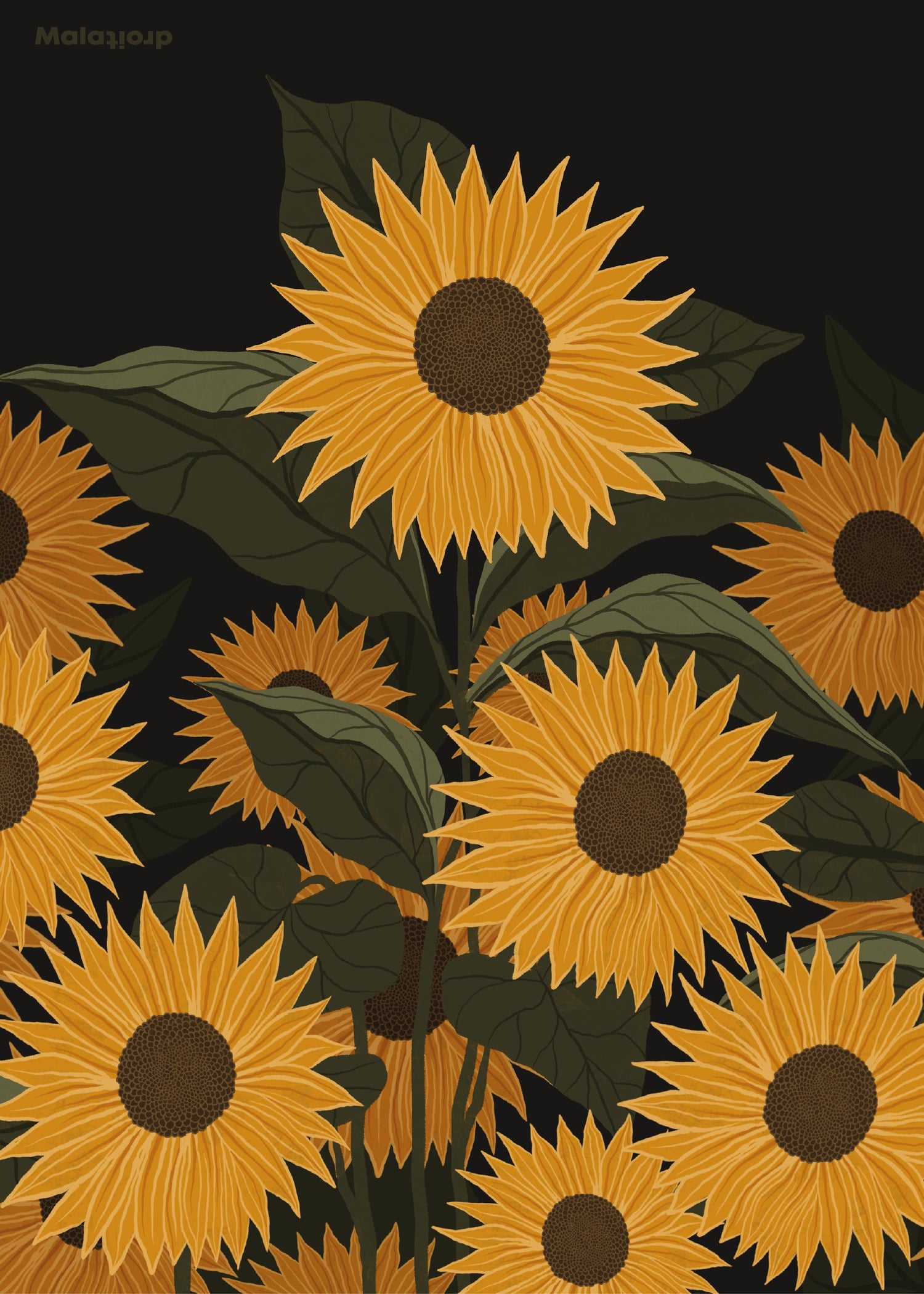 Sunflowers