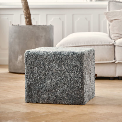 Poof | Short-haired | New Zealand