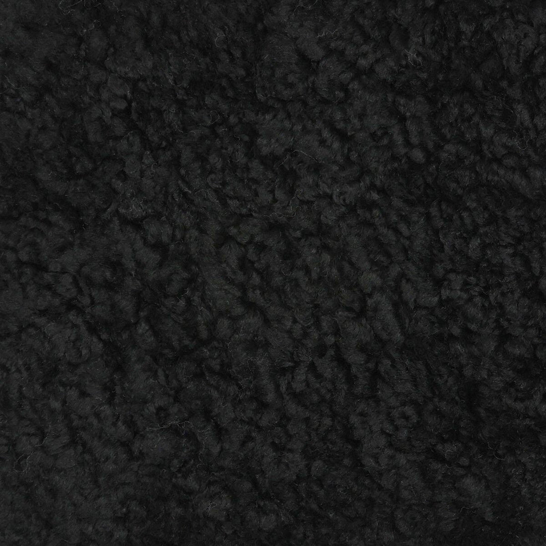 Shell Designer Carpet | Short-haired | New Zealand | 210x150 cm