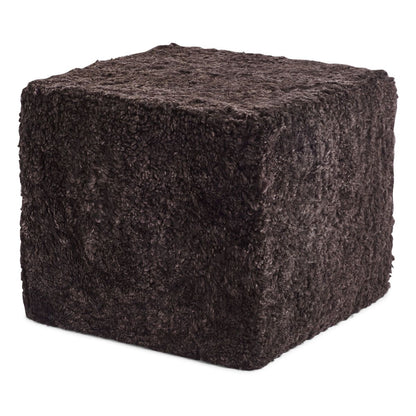 Poof | Short-haired | New Zealand