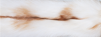 Carpet of Fox | Back of cashmere |  70x230 cm