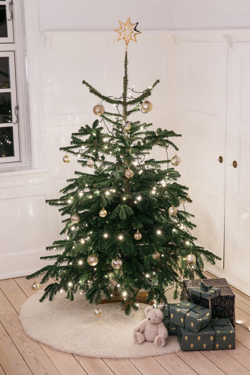 Designer rug | Short-haired | New Zealand | Ø180