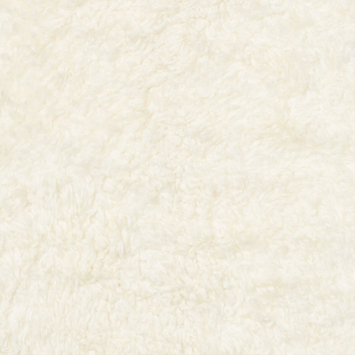 Shell Designer Carpet | Short-haired | New Zealand | 210x150 cm