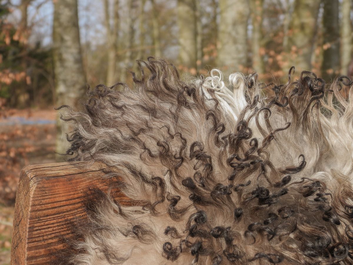 Lambskin | Curly | Austria | 90x60 cm