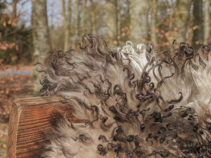 Lambskin | Curly | Austria | 90x60 cm