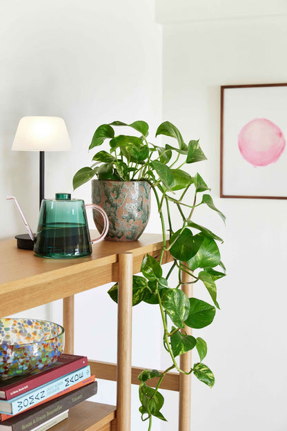 Hübsch Normu Potte Brown/Green (set of 2)