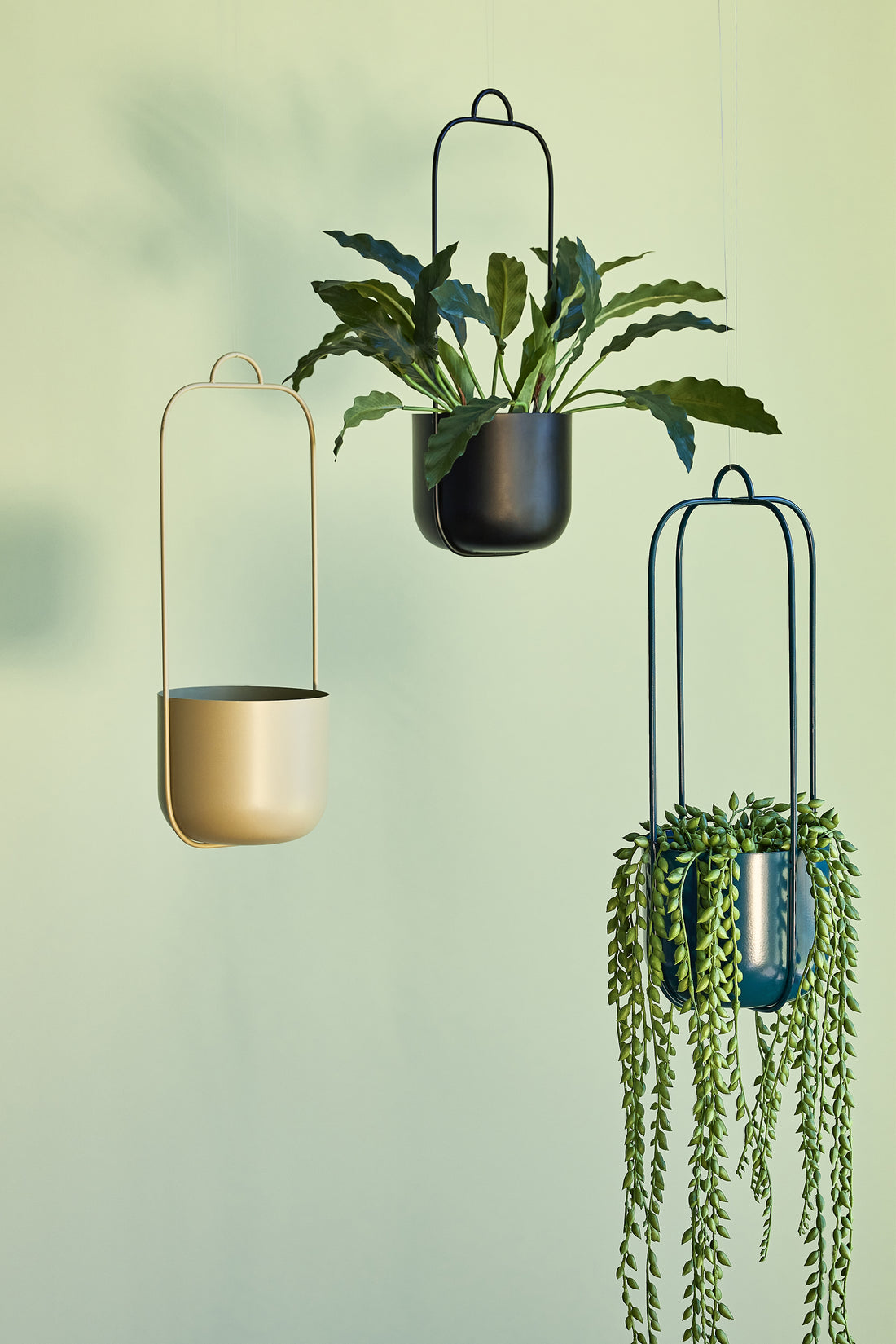 Lotus hanging pot black (set of 2) - Ø16XH44CM