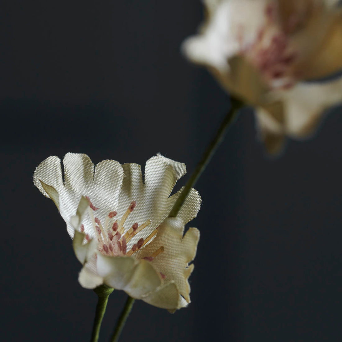 House Doctor - Flower, Wild, Beige - L: 70 cm