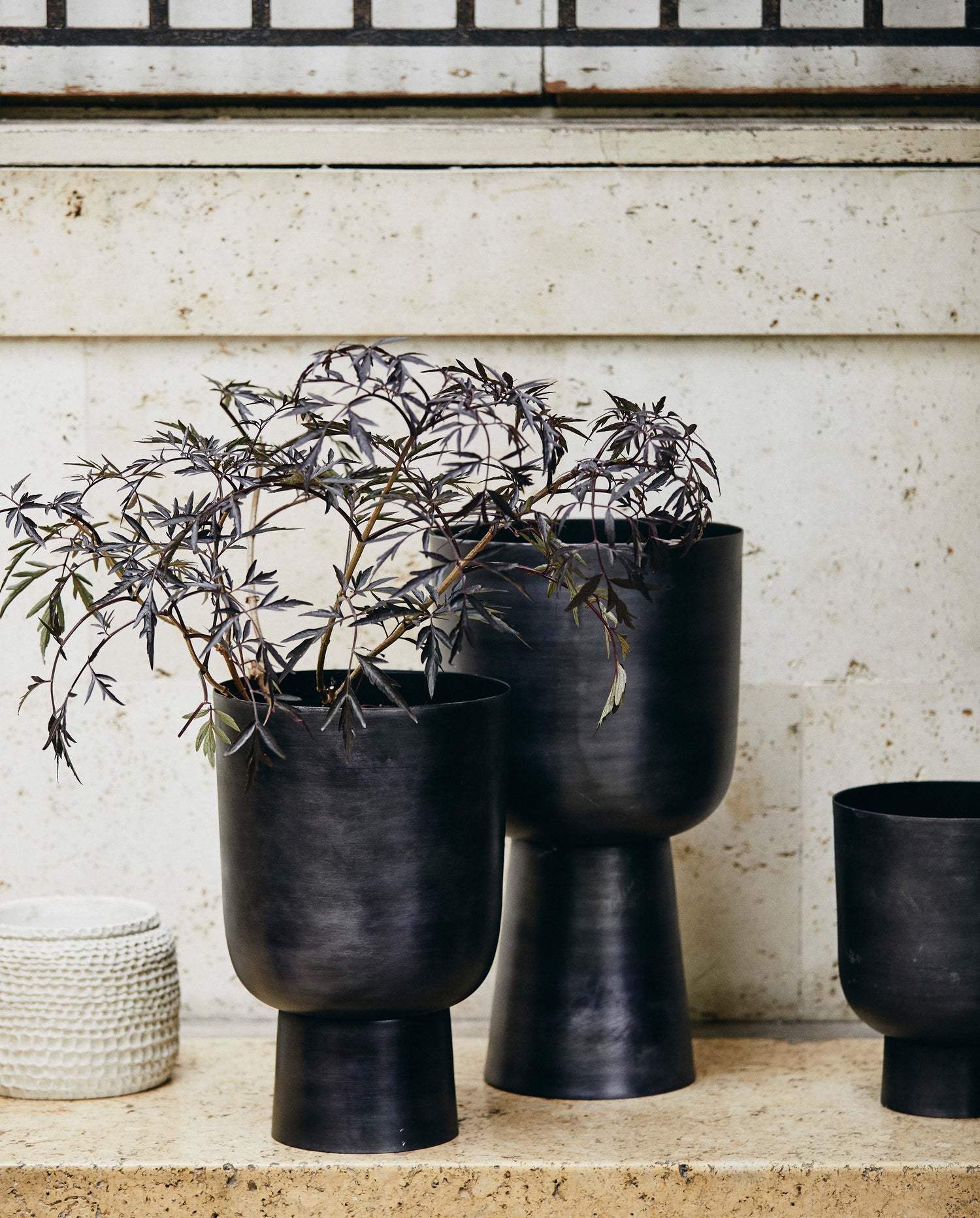 Galoa herbal pot, m - anthracite