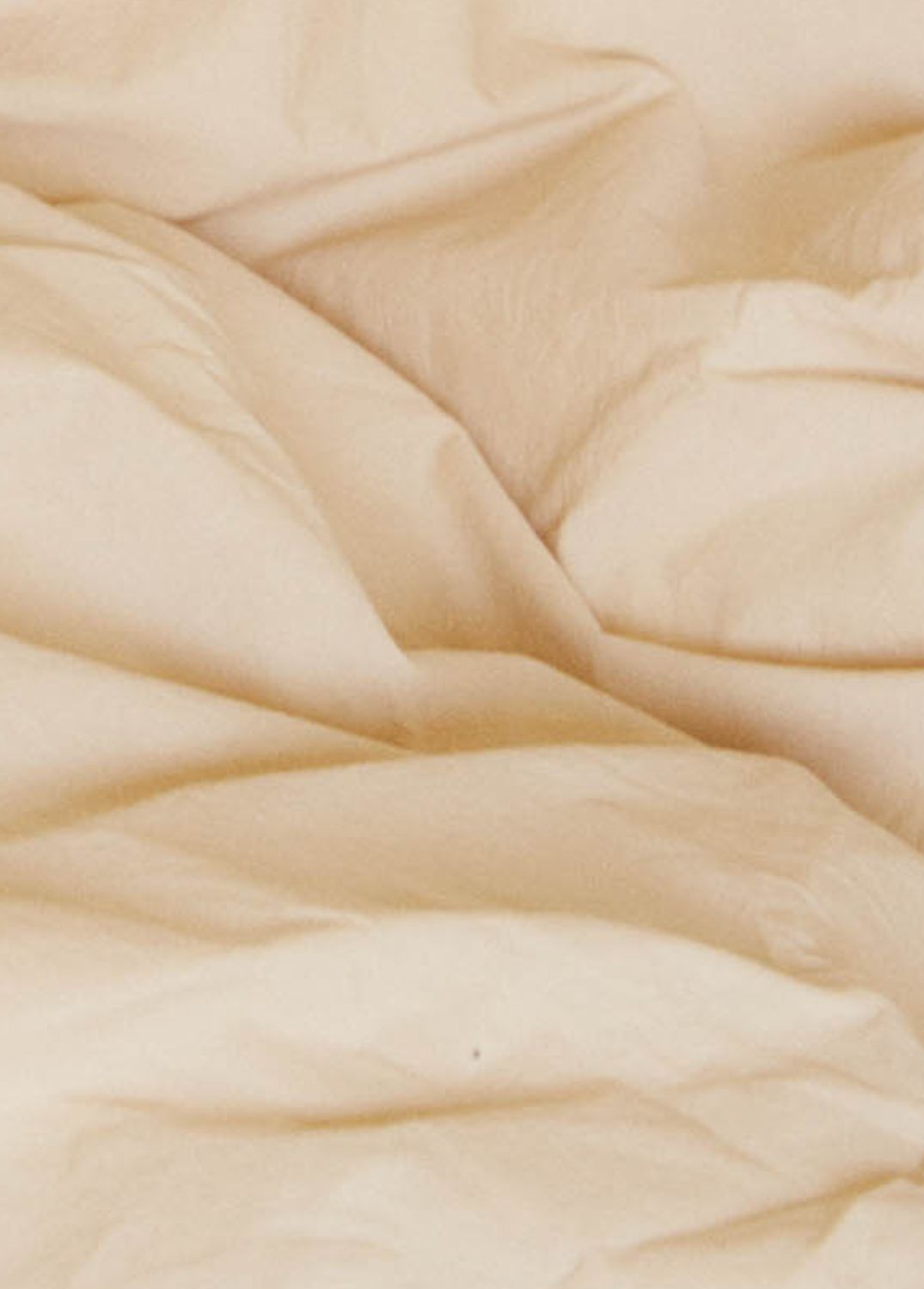 Sekan Studio Cotton Percale Bed Set - Beige/Yellow