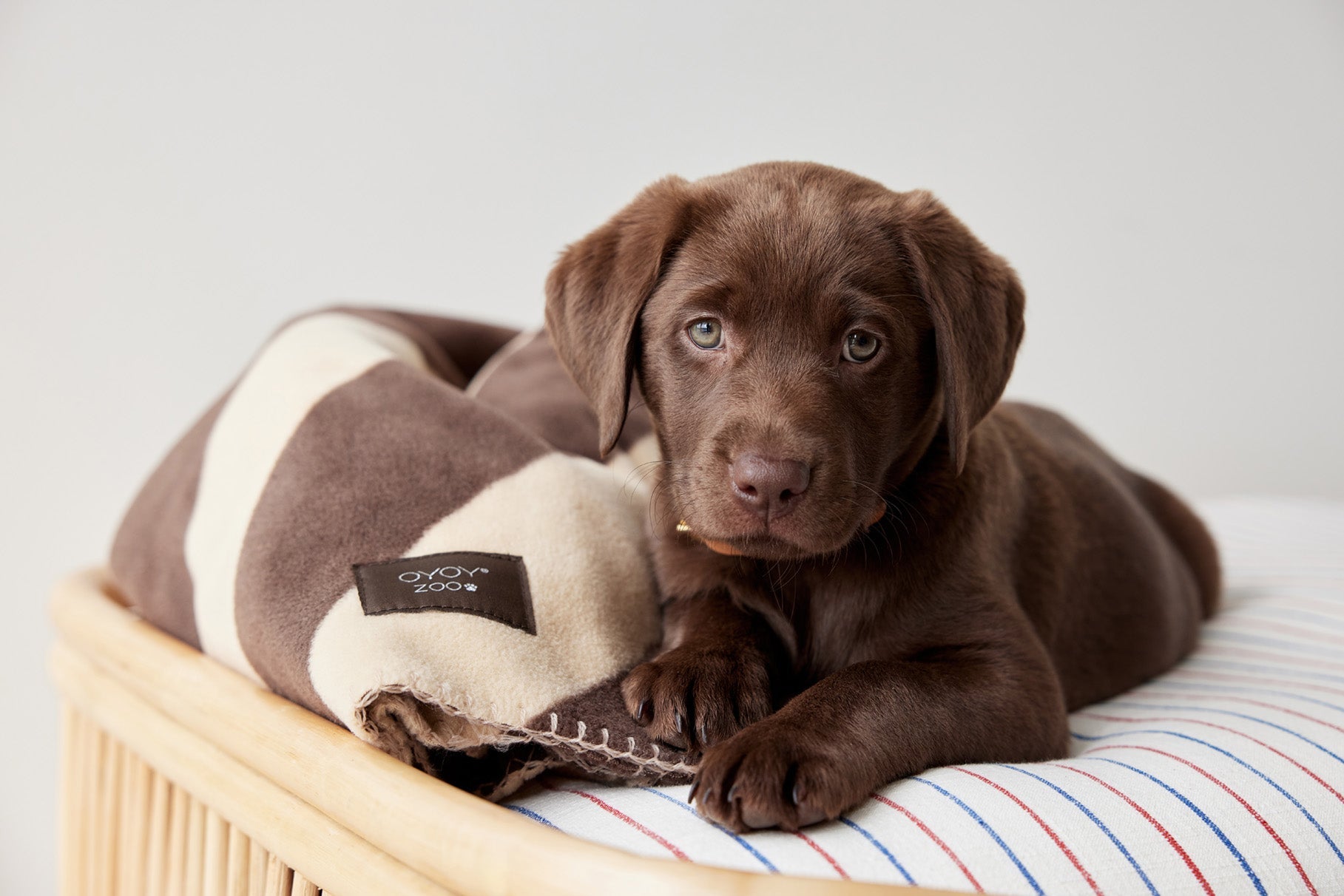 OYOY ZOO KAYA dog blanket - big