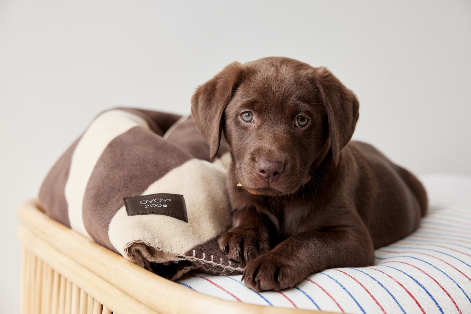 OYOY ZOO KAYA dog blanket - Medium