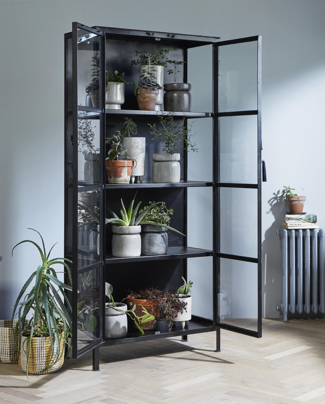 Phoenix display cabinet in iron - 175x80 - black