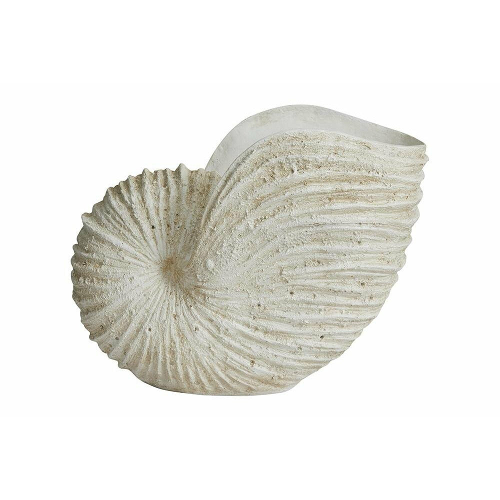 Ketoy conch for decoration - H41 cm - white