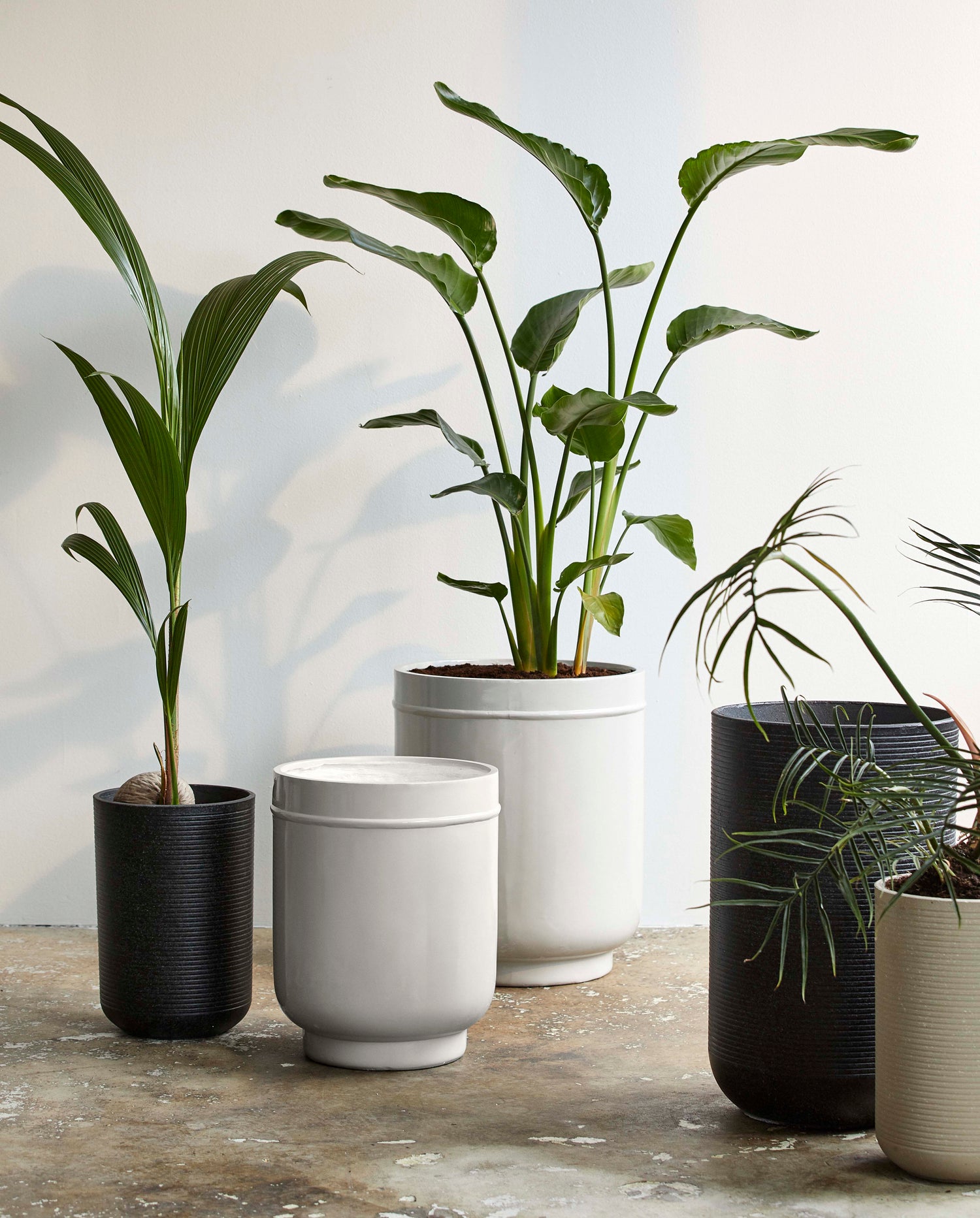 Eday herbal pots - 2 pcs. - H56/46 cm - gray