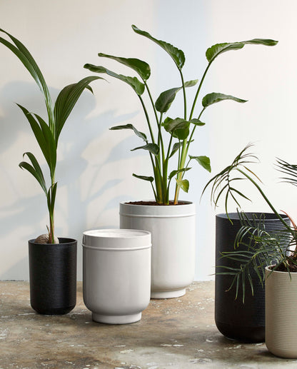Eday herbal pots - 2 pcs. - H56/46 cm - gray