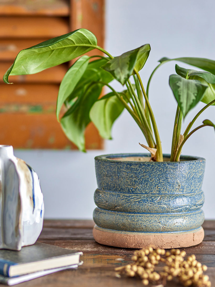 Creative Collection Maizun Herbal Potted Hears, Blue, Terracotta